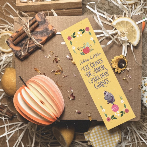 Lecciones de amor para días grises (caja especial)