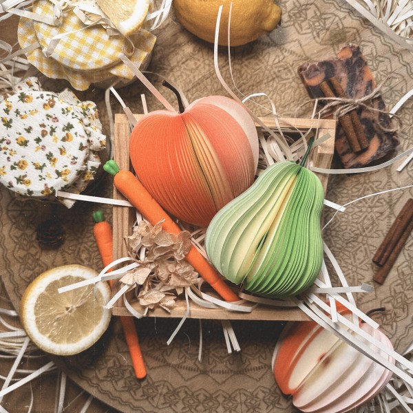 Lecciones de amor para días grises (caja especial)